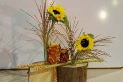 SONY DSC