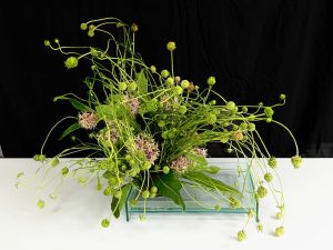 Wargner-Arrangement-1