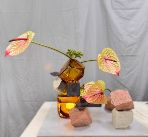 IMG 1229-2-fotor-bg-remover-20251006224759