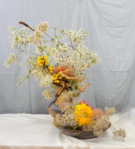 IMG 1239-1-fotor-20251006232112