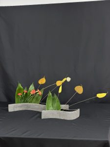 IMG 1785-1