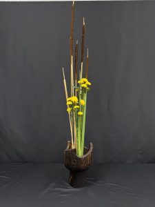 IMG 1787-2