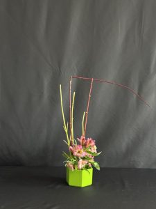 IMG 1795-2
